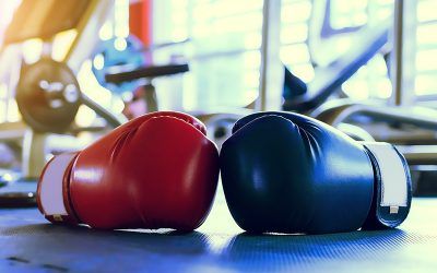Youtube Red vs Facebook Watch