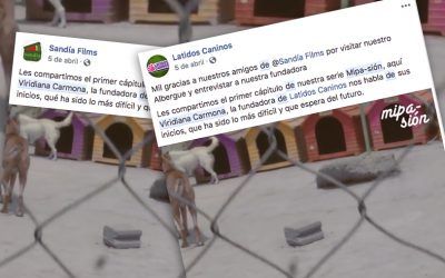 Publicar un video en dos páginas de Facebook